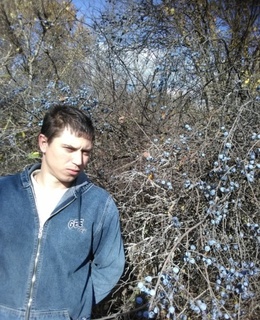 Александр — фото 4