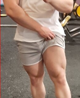 Bull 90 — фото 3